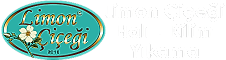 Limon Çiçeği Ankara Halı Yıkama